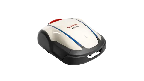 m_w-2