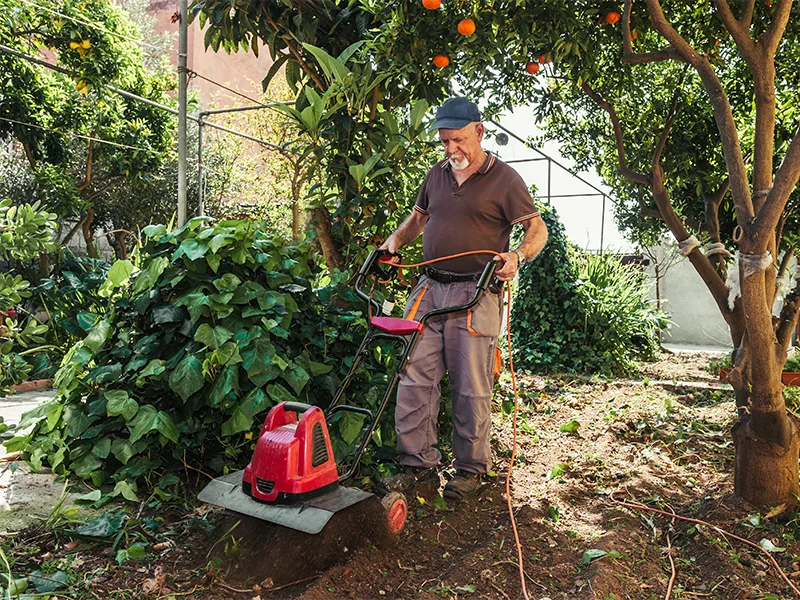 fb_r cura-e-preparazione-dell-orto