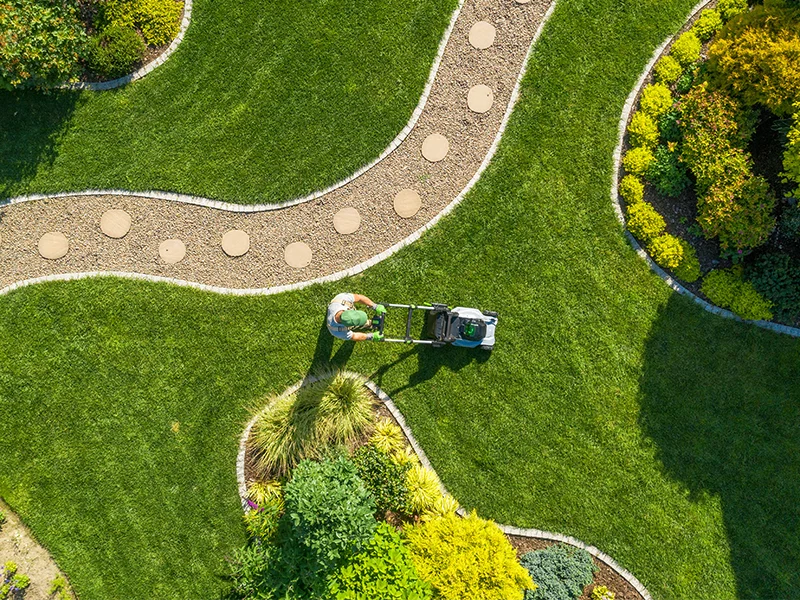 fb_r manutenzione-frequente-per-giardino-in-salute